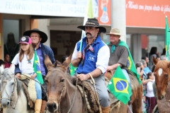 Piquete-7-de-setembro-2022-Por-Ana-Paula-Nesi-5