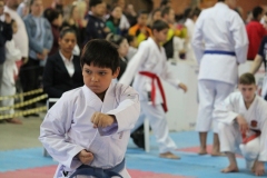 4a-etapa-estadual-de-Karate-Urussanga-6