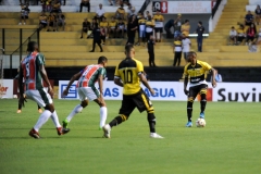 Vitória-do-Tigre